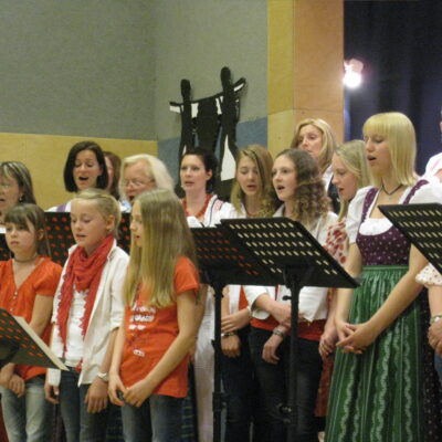 2012_HeimatbistdugroßerTöne (7)